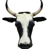 Decoração De Parede Cabeça De Boi Nelore Country Empalhada