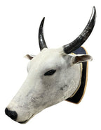 Decoração De Parede Cabeça De Boi Nelore Empalhada Country