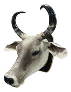Decoração Country De Parede Cabeça De Boi Nelore Empalhada